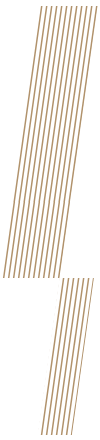 https://institutovitta.org.br/wp-content/uploads/2022/05/floating_image_home_03_01.png